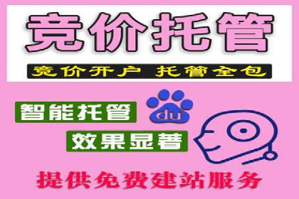 案例分析：百度SEM推广助力企业快速突破
